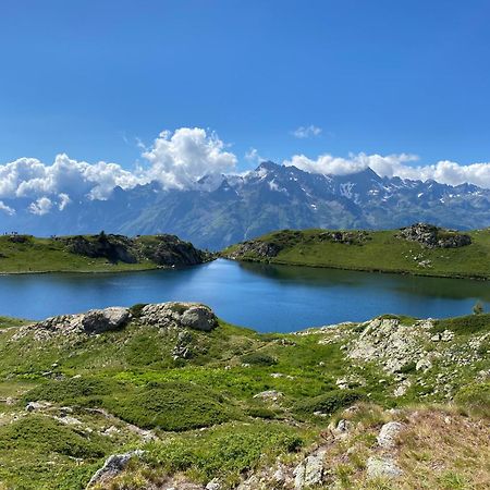 Chalet La Perle De L'Oisans - Appartements D'Exception ヴォジャニー エクステリア 写真